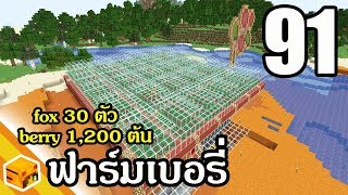 Mew World - ตอนที่ 91 จิ้งจอก 30 ตัว เบอรี่ 3,500 ผลต่อชั่วโมง อัตโนมัติ 100% - เอาชีวิตรอด 1.14.2