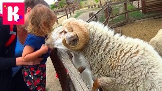 Прогулка по Ранчо Дядюшки Бо / кормим домашних животных