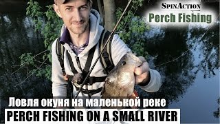 Ловля окуня на малых реках