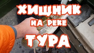 Рыбалка с лодки, щука и судак на реке Тура