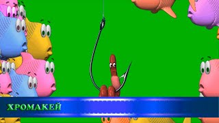 Футажи/переходы "Рыбки и червячки"/хромакей/transitions "fish and worm"/chromakey
