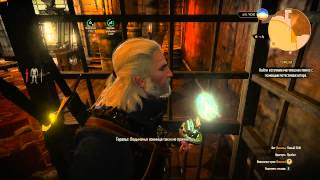 Прохождение The Witcher 3: Wild Hunt #44 Ведьмаки и снятие проклятия с Умы
