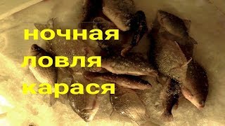 Ночная рыбалка на карася!!!!!