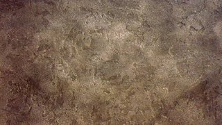 Декоративная штукатурка Оптимист Саванна (Карта мира). Decorative plaster (Causing spots).