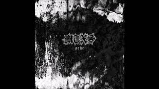 MTXS - Ache 2019 (Full Album)