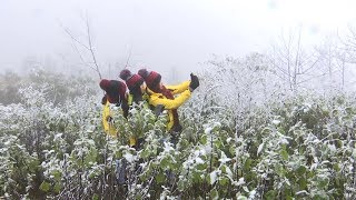 Tuyết rơi, Sa Pa bỗng thành châu Âu giữa mùa đông
