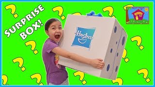 Huge Surprise Box Toy Opening with New Frozen, Disney Princess Toys & more!