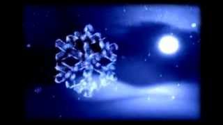 Лесной олень песня
