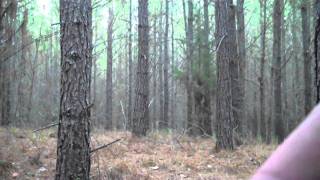 Deer Hunting Vlog 12-18-11 by BrandoMcWilli