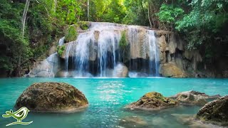 Beautiful Piano Music 24/7 • Study Music, Relaxing Music, Sleep Music, Meditation Music