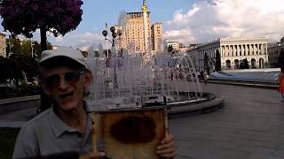 Целебный Мед и Пчелы: Почему Гибнут Пчелы в Украине? Загадка?