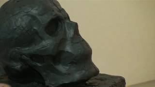 Уроки скульптуры и рисунка: лепка черепа человека, детализация, часть 3