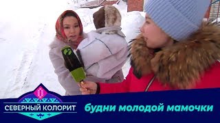 Будни молодой мамочки. Северный колорит. 21.01.2020