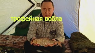ТРЕЙЛЕР-Зимняя рыбалка 2019,Балхаш,Зика,трофейная вобла.