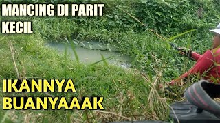 Mancing Di Selokan Kecil Dapat Banyak