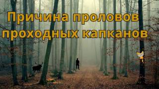 Причина проловов проходных капканов