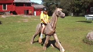 Aland bike trip with girls - part 2. На велосипеде по Аландам.#shatandr
