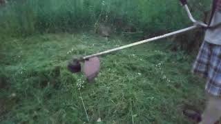 Мотокоса STIHL FS 55 #STIHL FS
