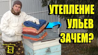 СЕКРЕТ УТЕПЛЕНИЯ УЛЬЕВ. ПОСЛЕДНИЕ ОСЕННИЕ РАБОТЫ НА ПАСЕКЕ. ЛЮБИТЕЛЬСКОЕ ПЧЕЛОВОДСТВО