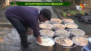 పాడిపరిశ్రమను లాభసాటిగా మార్చిన యువరైతు | Success Mantra in Dairy Farming | Matti Manishi | 10TVNews