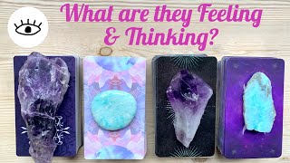 Pick a Card How is your person FEELING & THINKING about you? Love Soul Mate Twin Flame Psychic Tarot