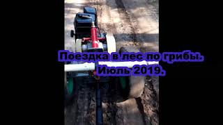 Поездка покатушка на мотоблоке ЗиД Фаворит  в лес по грибы.
