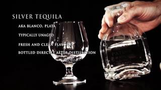 Types of Tequila | Silver or Blanco | Fine Drinks Movement