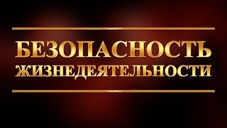 Безопасность жизнедеятельности