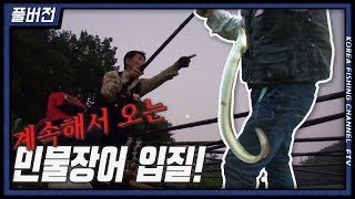 FTV풀버전)붕어낚시월척특급 "장어vs붕어" #故서찬수프로님 #대물장어 #월척