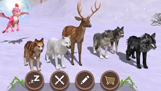 Wildcraft Update ! -- Transformations!!