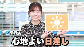 お天気キャスター解説 2月11日(木)の天気