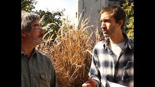Bichos de Campo- 31-03-2018- (Prog. completo)