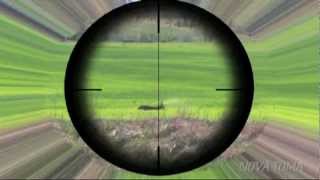 CAZA NOVATOMA TRAILER, (Hunting Vídeo) Trailer Corzos en el Punto de Mira