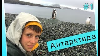 рассказ о том, как я съездила в Антарктиду на яхте - 1. Вокруг Света, без обратного билета