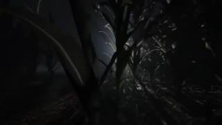 СКАЧАТЬ OUTLAST 2 БЕСПЛАТНО ПОЛНУЮ ВЕРСИЮ! ТОРРЕНТОМ! тут
