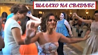 Шалахо~танец.невесты~Shalaxo~Свадьба в Греции-LIVE