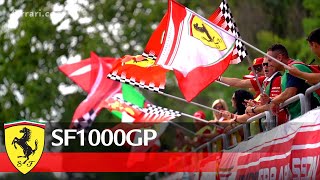 1000 volte grazie Tifosi