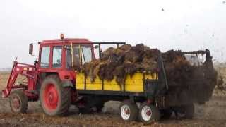 Obornik i Orka Nowym Nabytkiem Zetor Forterra 120, 3x Mtz 82 |HD|