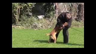 Training Dark Fall Pepper PHV De Vriendschap