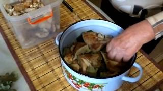Засолка опят без варки