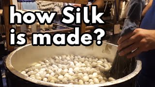 istanbul street food 'Special Video' | How Silk is made from Silkworms | turkey street food