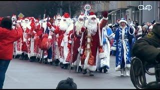 ПАРАД ДЕДОВ МОРОЗОВ