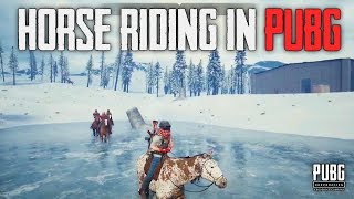 PUBG Horse RIDING - HORSES in Pubg | PUBG Future Content *LEAKS - HORSE Riding in PUBG !!!