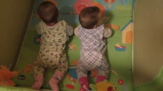 Какой манеж лучше? Chicco или Фея