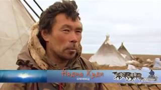 НЕ НАВРЕДИ