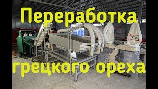 Линия для переработки грецкого ореха. Орехокол Эталон