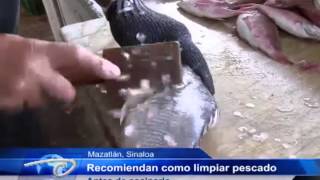 Recomiendan cómo limpiar pescado Antes de cocinarlo