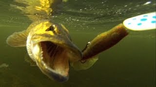 Fishing with lures: spinner + soft-bait = pike. Рыбалка, спиннинг: блесна вертушка + твистер = щука.