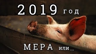 Число 2019 – год, к которому применима МЕРА;  число 2020 года и число 2021 года; Нумерология
