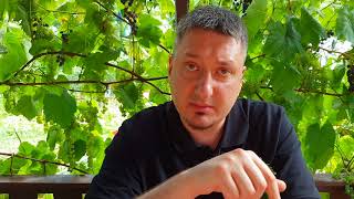 В Германии русский русскому - волк! Мигранты на гос. службе у немцев